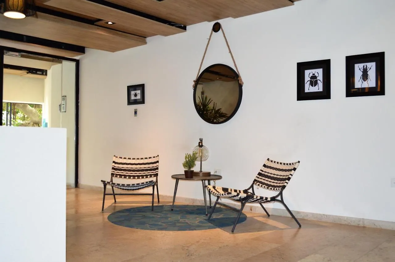 Luxurious And New 2 Bedroom Apartment With Private Jacuzzi Playa del Carmen 0*,  Mexico